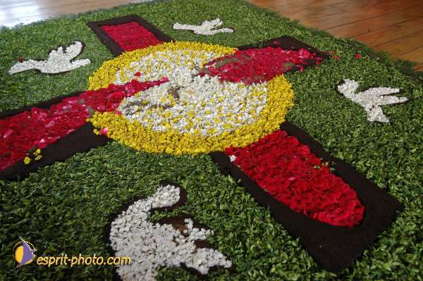 Nom de l'image : D1144677-01 — Description :