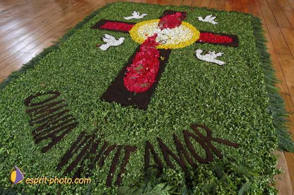 Nom de l'image : D1144679-01 — Description :