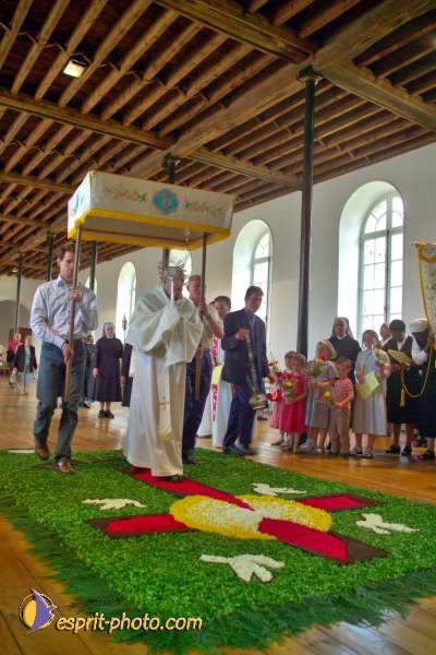 Nom de l'image : K1002546-01 — Description :