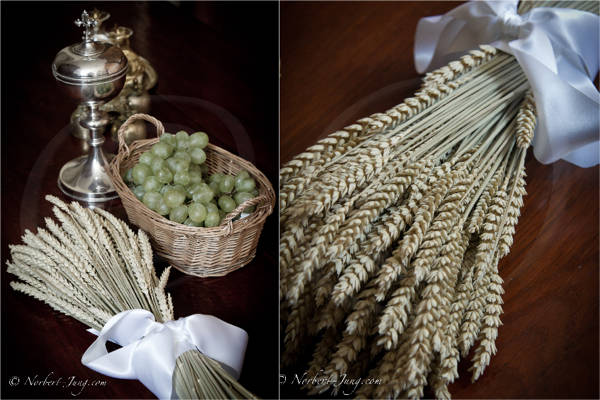 Nom de l'image : ProfessionDeFoi14 — Description :