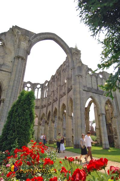 Nom de l'image : D2171603_1 — Description :