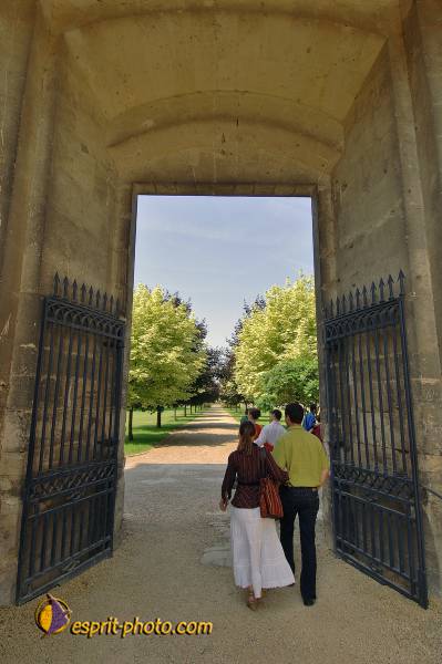 Nom de l'image : D2171609_1 — Description :