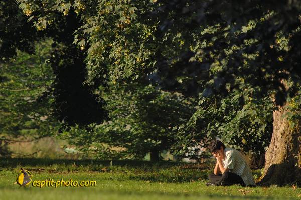 Nom de l'image : D2171947_1 — Description :