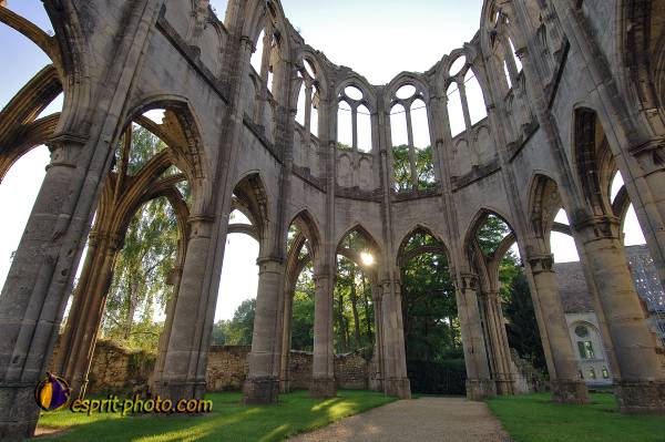 Nom de l'image : D2171955_1 — Description :