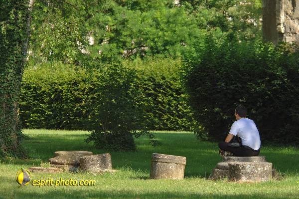 Nom de l'image : D2172212_1 — Description :