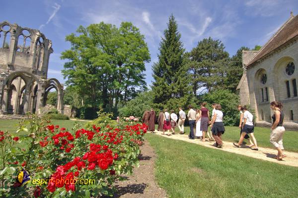 Nom de l'image : D2172318_1 — Description :