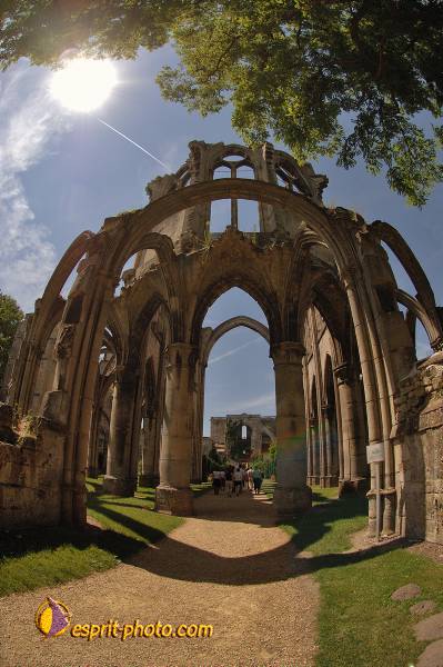 Nom de l'image : D2172329_1 — Description :