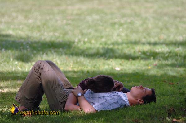 Nom de l'image : D2172344_1 — Description :