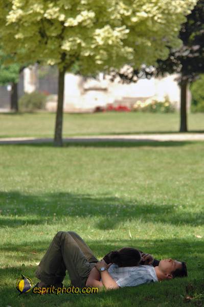 Nom de l'image : D2172346_1 — Description :