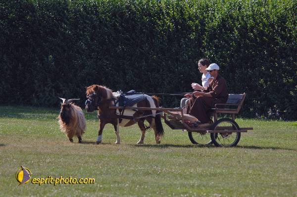 Nom de l'image : D2172718_1 — Description :