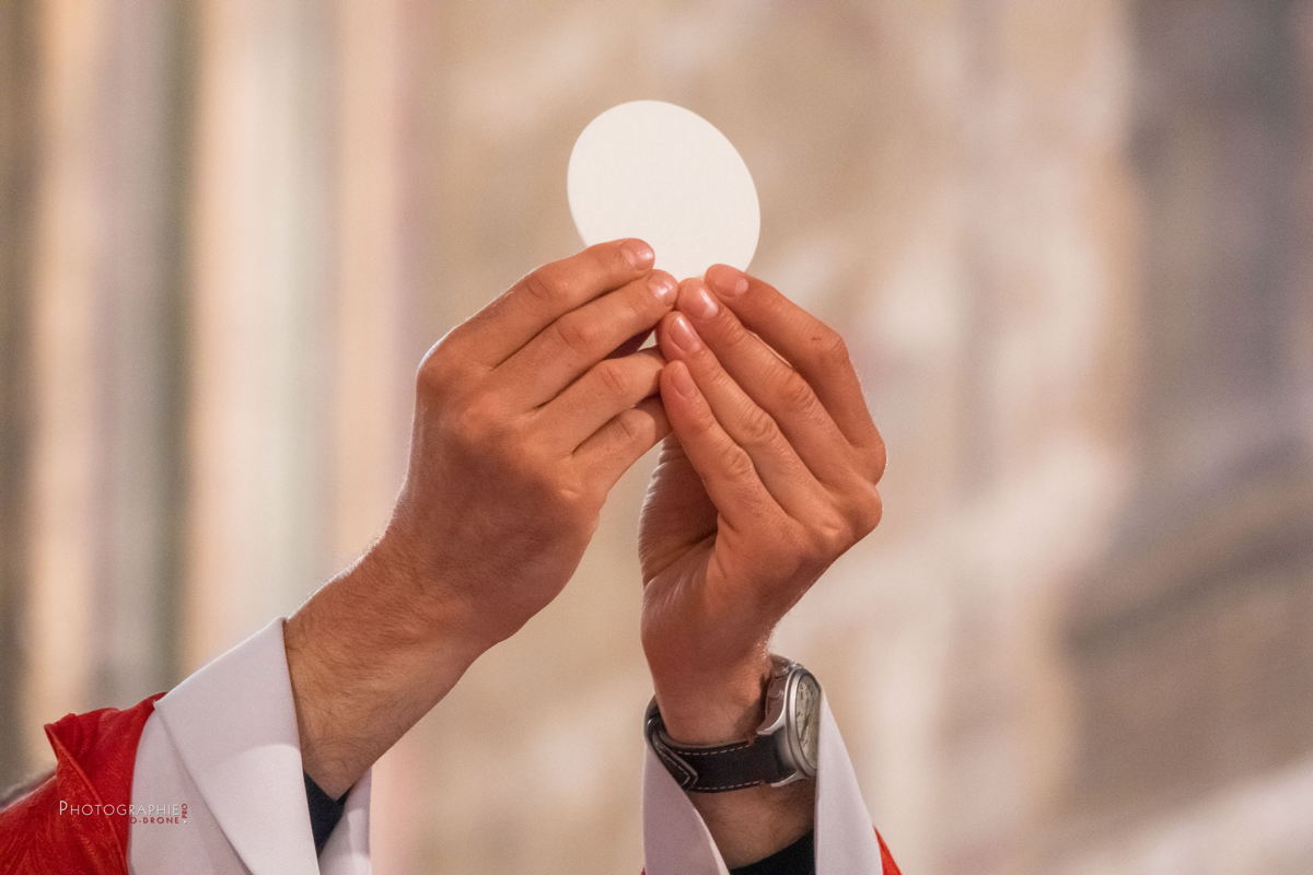 Nom de l'image : 113-20210523-112330_S1146851_c_Satisfecit-Editions.fr — Description :