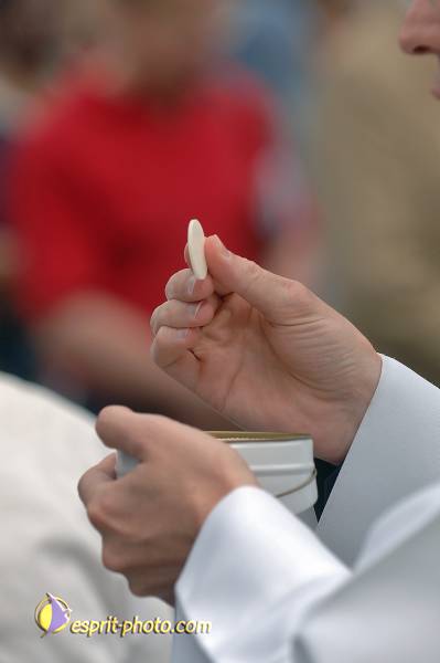 Nom de l'image : D2171019_1 — Description :  Ordination sacerdotale - ND de Paris - 24 juin 2006