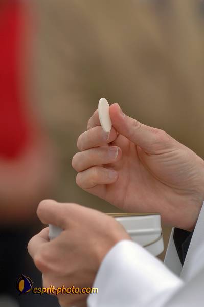 Nom de l'image : D2171021_1 — Description :  Ordination sacerdotale - ND de Paris - 24 juin 2006