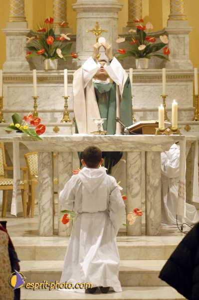 Nom de l'image : D1096084-01 — Description :