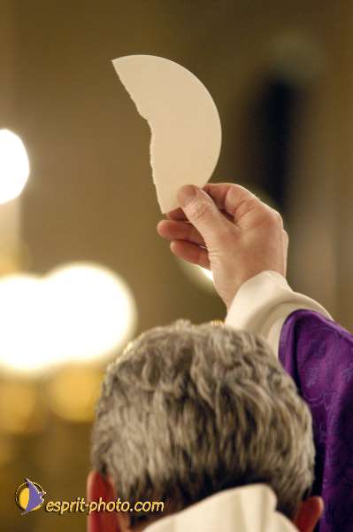 Nom de l'image : D1111819-01 — Description :