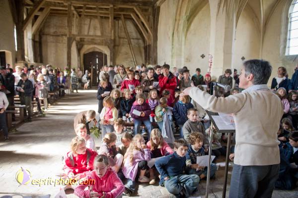 Nom de l'image : D3s012674a — Description :