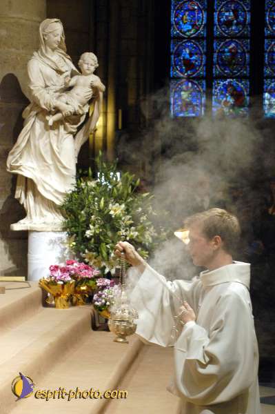 Nom de l'image : D1118370-01 — Description :