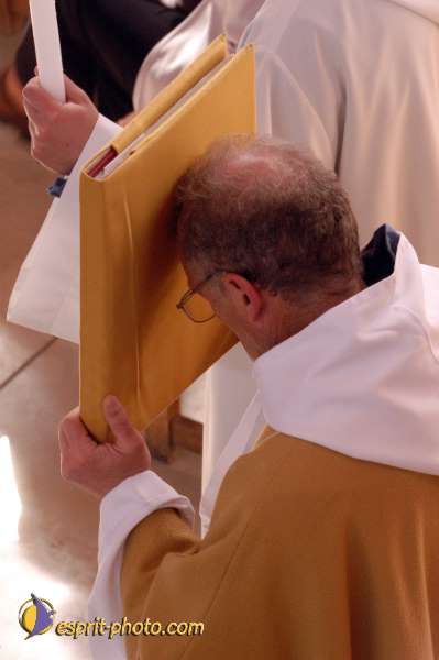 Nom de l'image : D1028339-01 — Description :