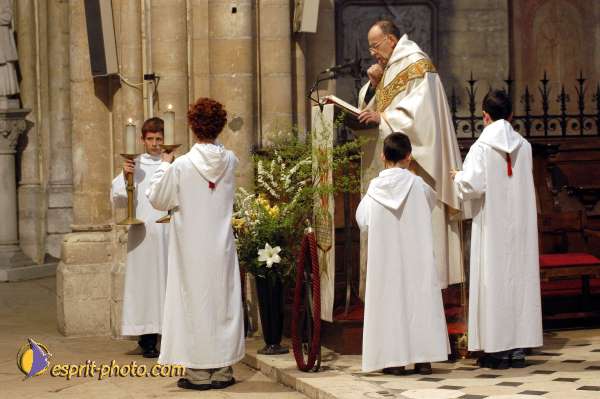 Nom de l'image : D1121804-01 — Description :