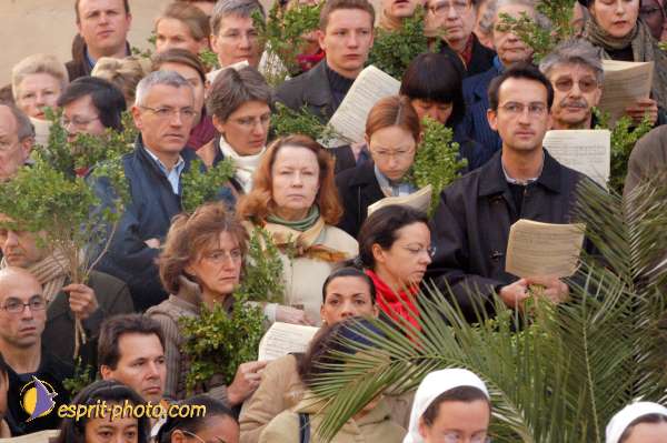 Nom de l'image : D1024525-01 — Description :  Dimanche de Ramaux à l'église St Gervais - Paris 4e & Inaugurati