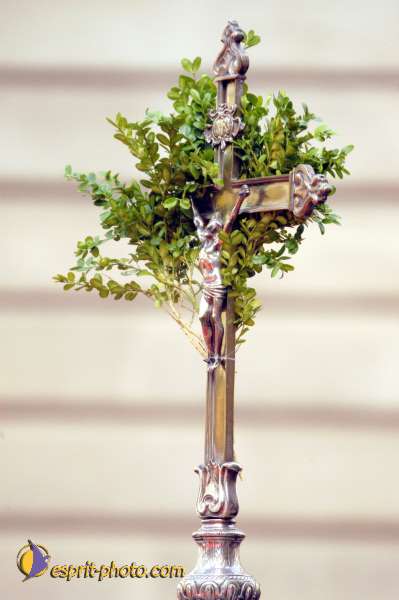 Nom de l'image : D1024961-01 — Description :  Dimanche de Ramaux à l'église St Gervais - Paris 4e & Inaugurati