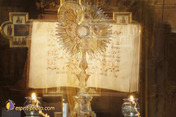 Nom de l'image : D1085879-nef-01 — Description :