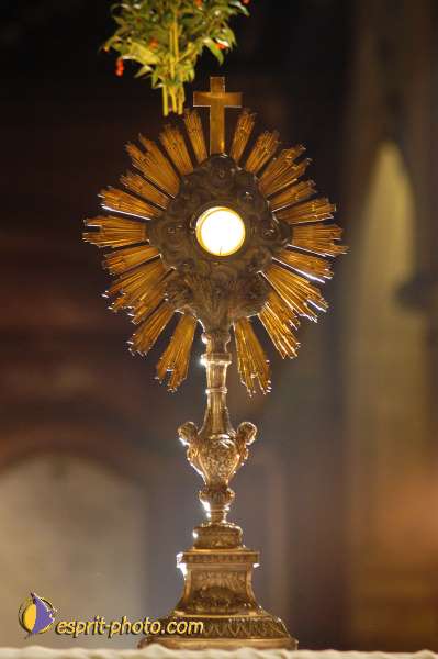 Nom de l'image : D1190568-1 — Description :  Paris - Toussaint 2004