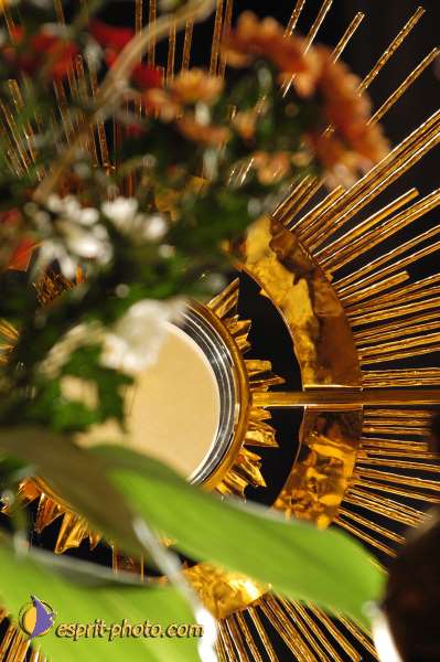 Nom de l'image : D1191643-1 — Description :  Paris - Toussaint 2004