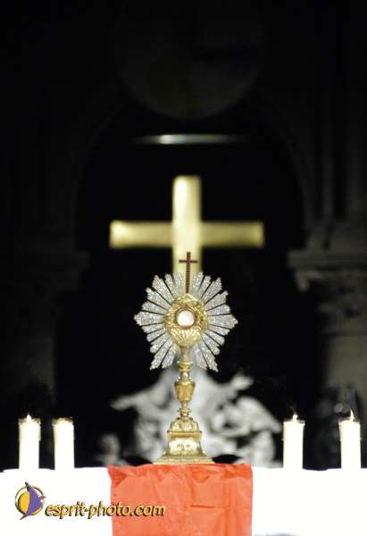 Nom de l'image : EG-R-223 — Description :