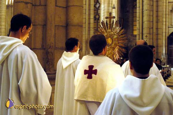 Nom de l'image : D1137001-01 — Description :