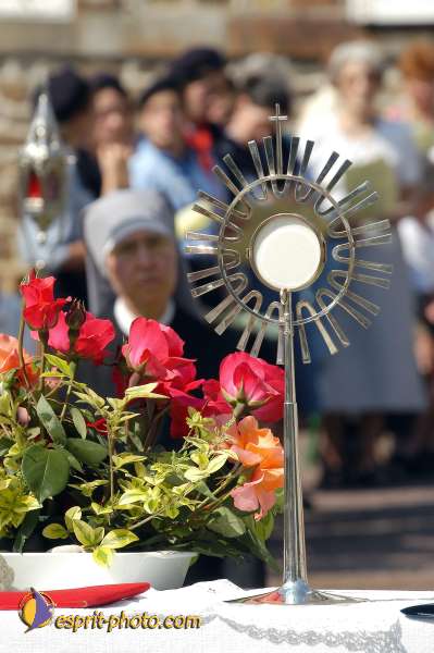 Nom de l'image : D1144462-01 — Description :