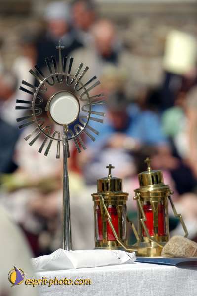 Nom de l'image : D1144495-01 — Description :