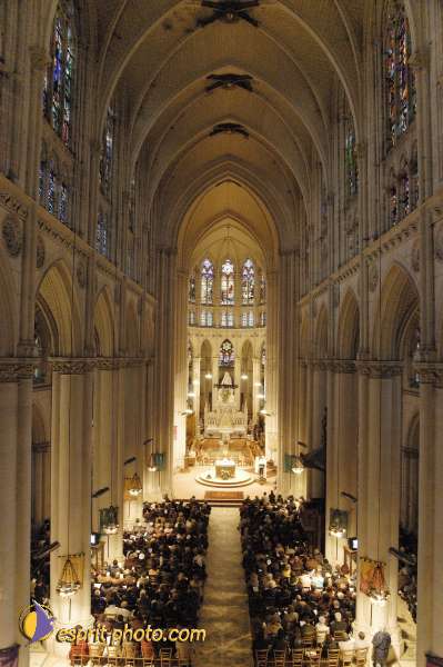 Nom de l'image : EG-300-9541 — Description :