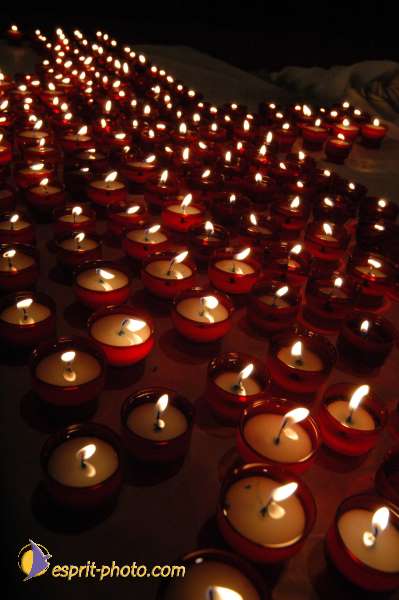 Nom de l'image : D1057692 — Description :  Chemin Neuf - Abbaye d'Hautecombe - Festival des jeunes