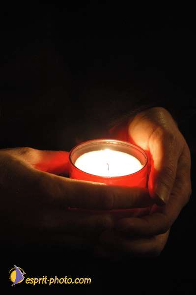 Nom de l'image : D1111883-nef-01 — Description :