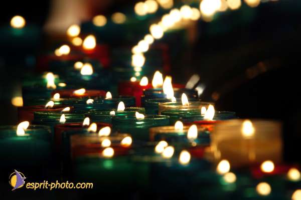 Nom de l'image : D1191662-1 — Description :  Paris - Toussaint 2004