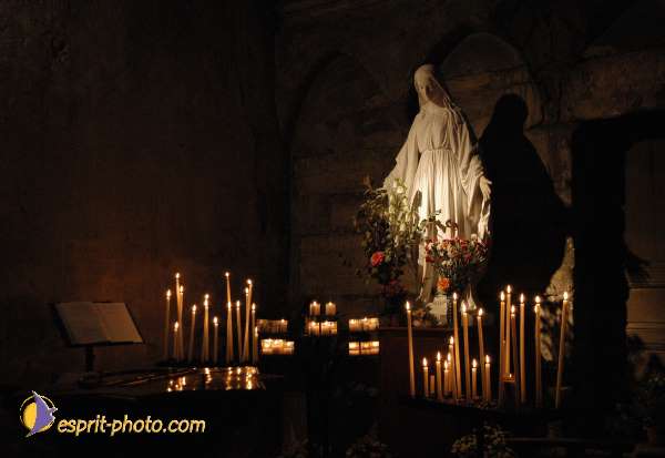 Nom de l'image : DSC_2453 — Description :