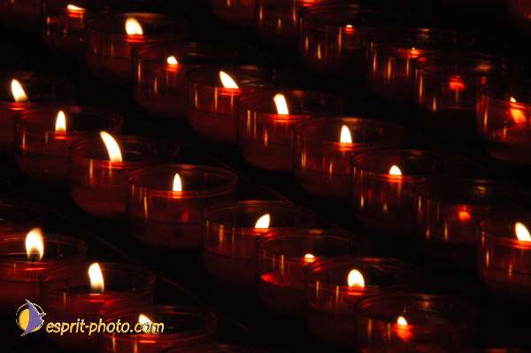 Nom de l'image : EG04001176 — Description :