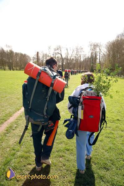 Nom de l'image : D1120522-01 — Description :