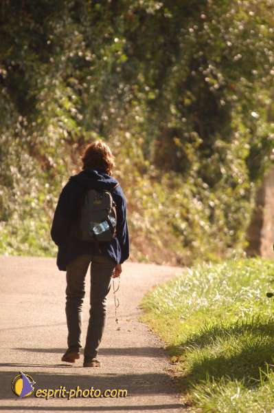 Nom de l'image : D1073461 — Description :