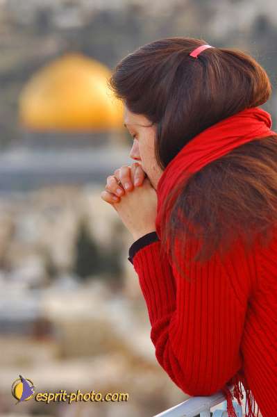 Nom de l'image : D1200613-1 — Description :  Voyage en Terre Sainte avec Jeunesse Lumière