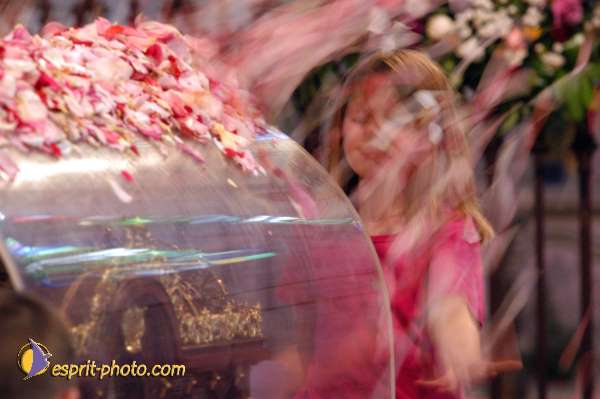 Nom de l'image : E00002310 — Description :