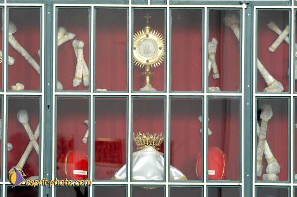 Nom de l'image : D1133088-nef-01 — Description :