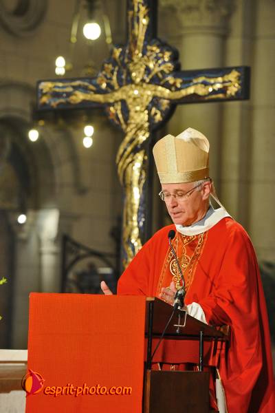 Nom de l'image : 338_E30003034_1 — Description :