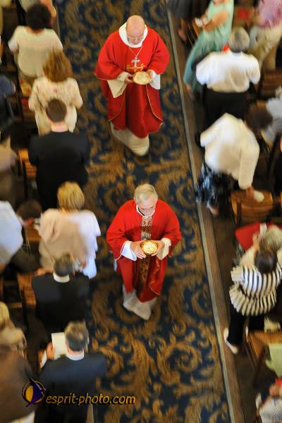 Nom de l'image : 650_D30014262_1 — Description :