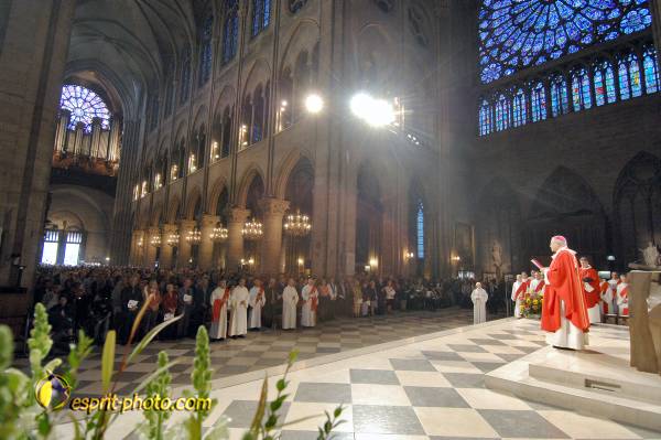 Nom de l'image : D2247807_1 — Description :