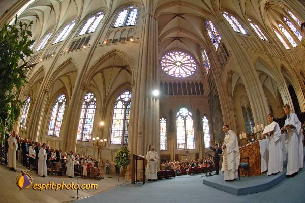 Nom de l'image : D2183776_1 — Description :