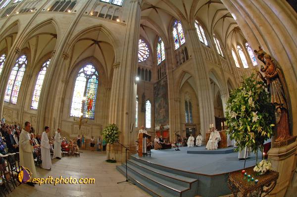 Nom de l'image : D2183778_1 — Description :