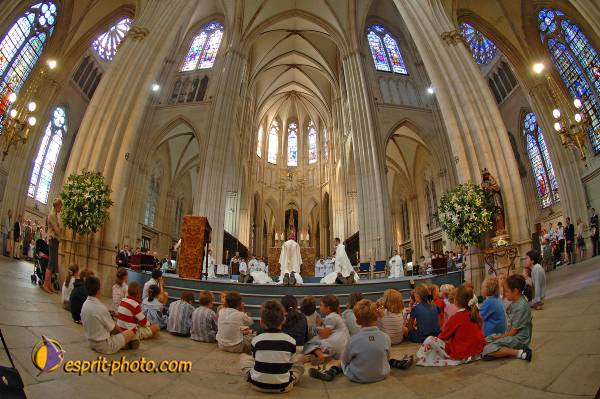 Nom de l'image : D2183899_1 — Description :