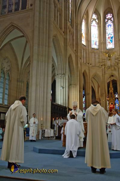 Nom de l'image : D2183913_1 — Description :